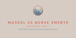 MODUL 1 - Muskel vs Nerve smerter 2026
