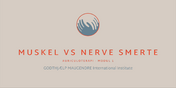 MODUL 1 - Muskel vs Nerve smerter 2026