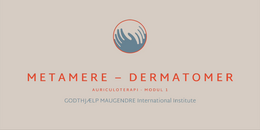 MODUL 1 - Metamere - Dermatomer 2026