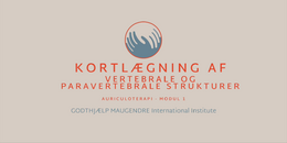 MODUL 1 - Kortlægning af vertebrale og paravertebrale strukturer 2026