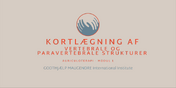 MODUL 1 - Kortlægning af vertebrale og paravertebrale strukturer 2026
