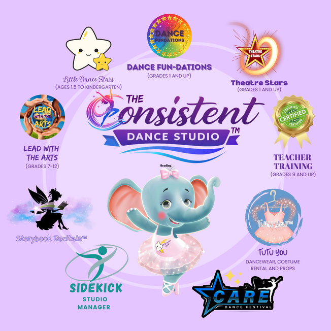 The Consistent Dance Studio Overview-2