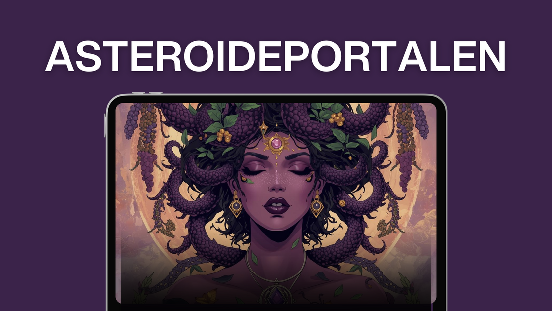 asteroideportalen test (2)