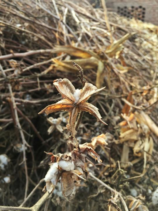 photo-1672773458936-2189ed52935a