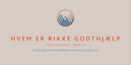 MODUL 1 - Hvem er Rikke G 2026 Finale 2