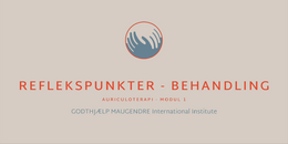 MODUL 1 - Reflekspunkter - behandling 2026