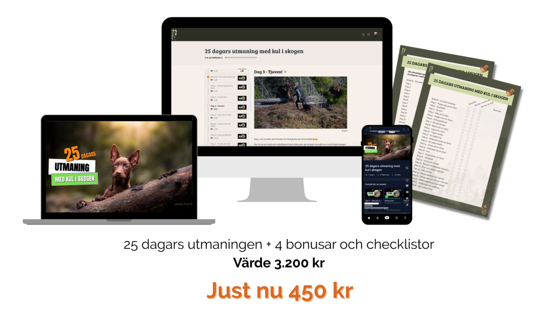 Mock-up skogsutmaningen