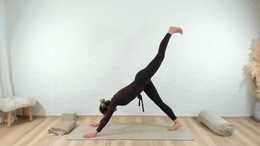 yogadetoxdag13