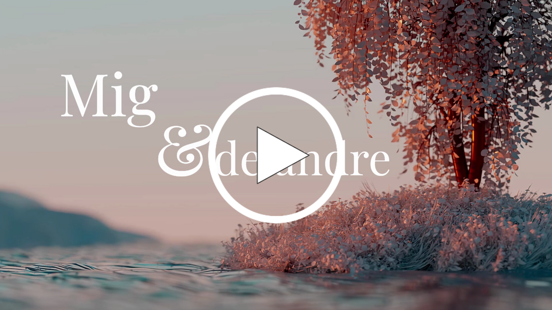 salgsvideo synastriportalen