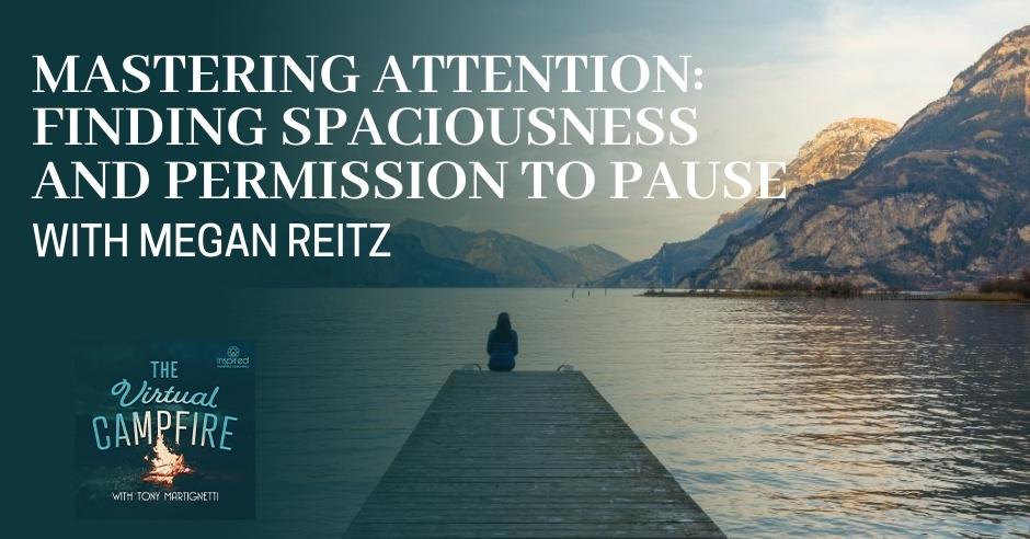 Graphics - Episode Art - VCP 316 Megan Reitz - Banner