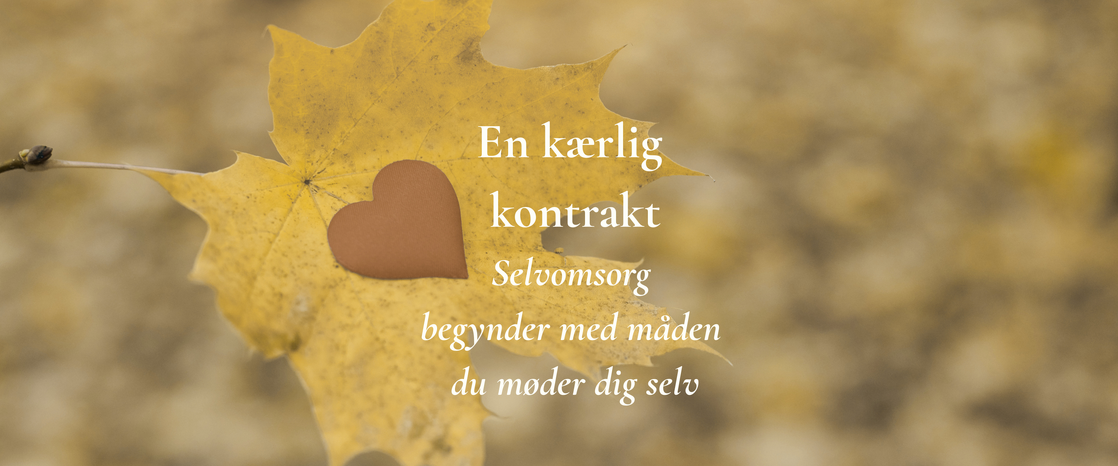 En kærlig kontrakt (1)