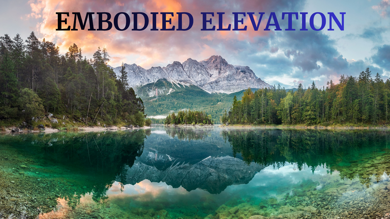 EMBODIED ELEVATION