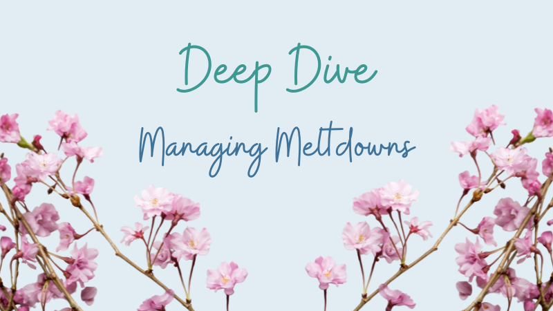 simplero - deep dive - Managing Meltdowns