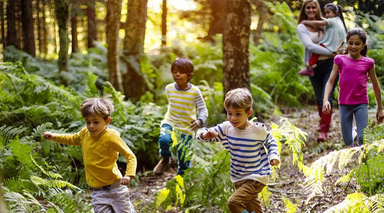 Energy Systems Science and Practice Online course with Curtis Ogden and Gaia Education