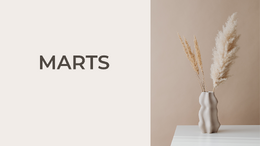 vejrudsigt marts 2026