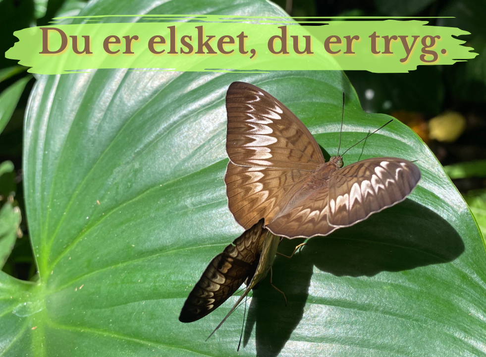 Du er elsker, du er tryg