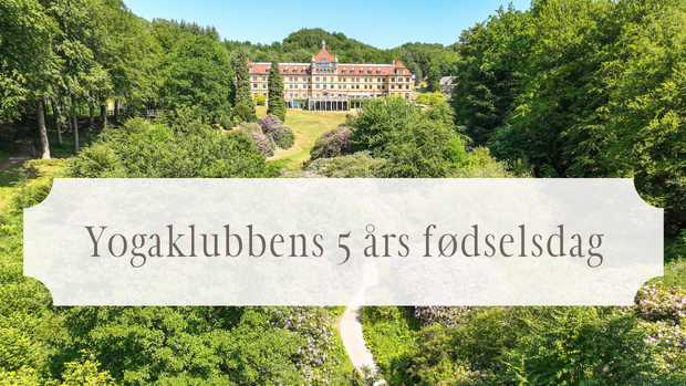 Invitation (800 x 450 px)