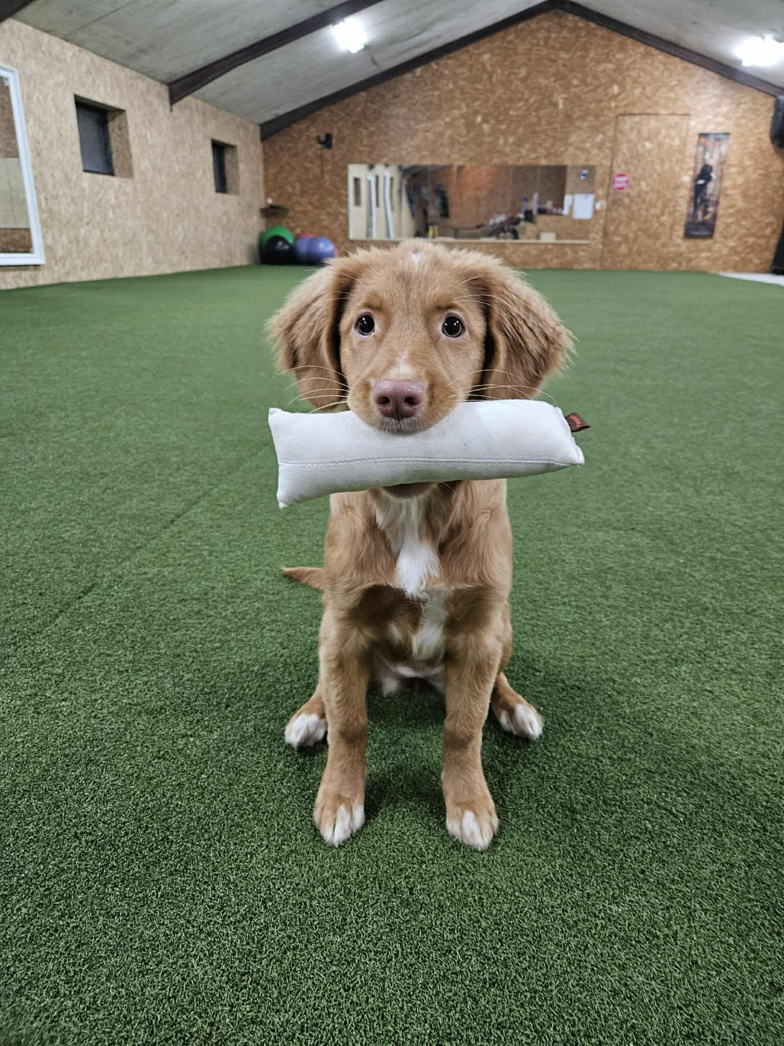 d89bdf51-d715-4e1f-85e2-5bebf67cfb14