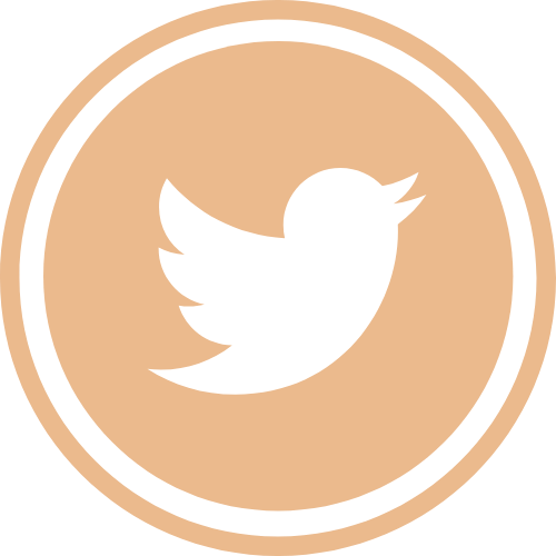 REDES SOCIALES TWITTER