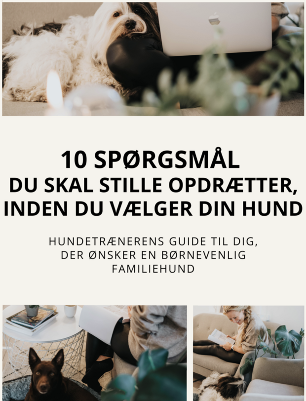 Screenshot 2026-01-27 at 15.39.56