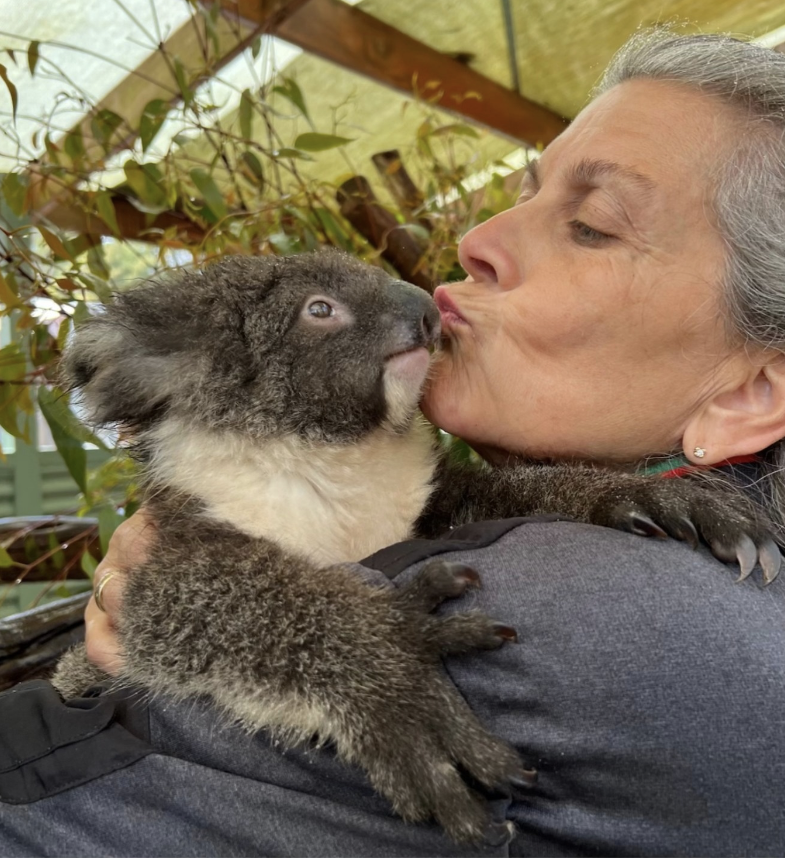 Skærmbillede 2026-01-27 kl. 18.52.31