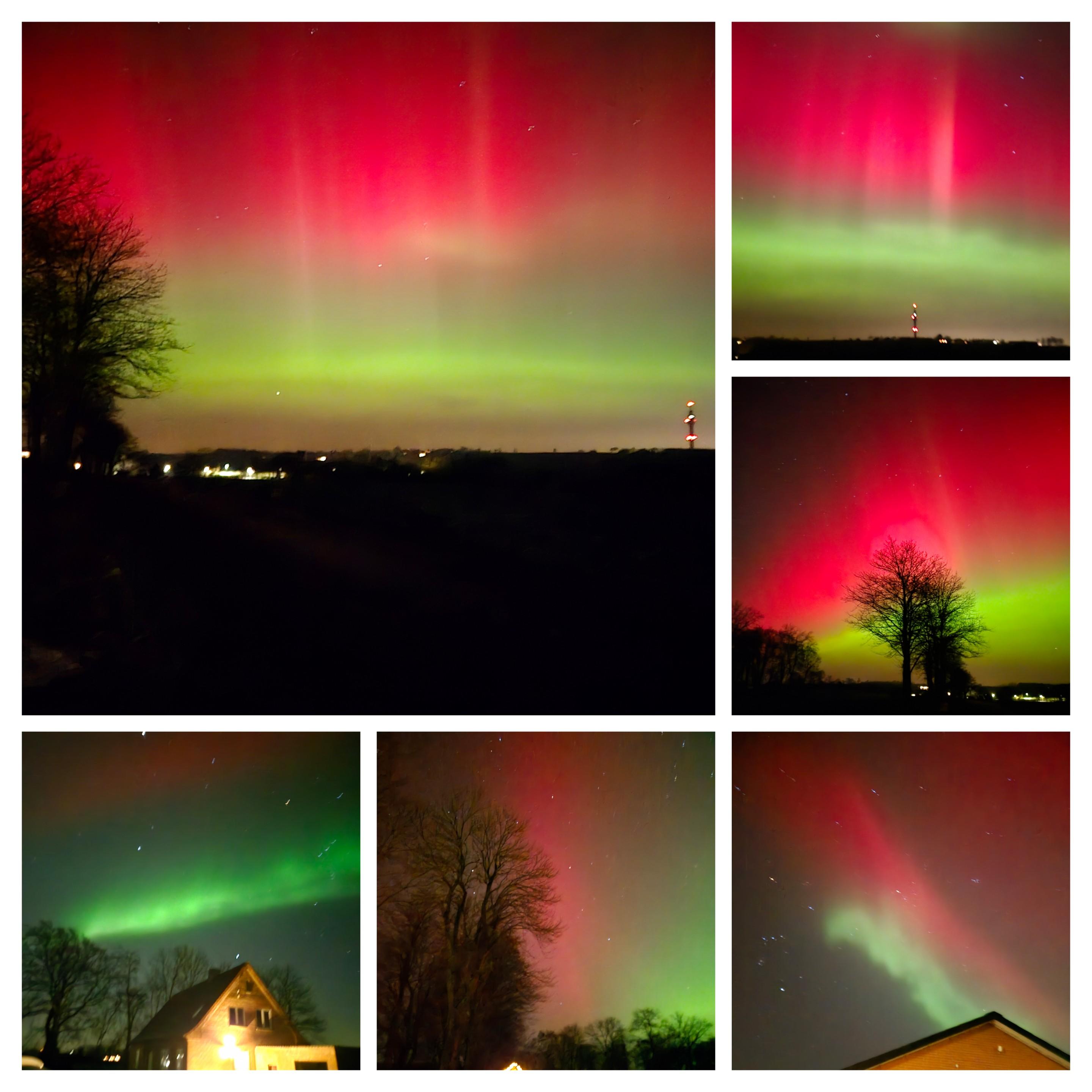 20260120_000230-COLLAGE