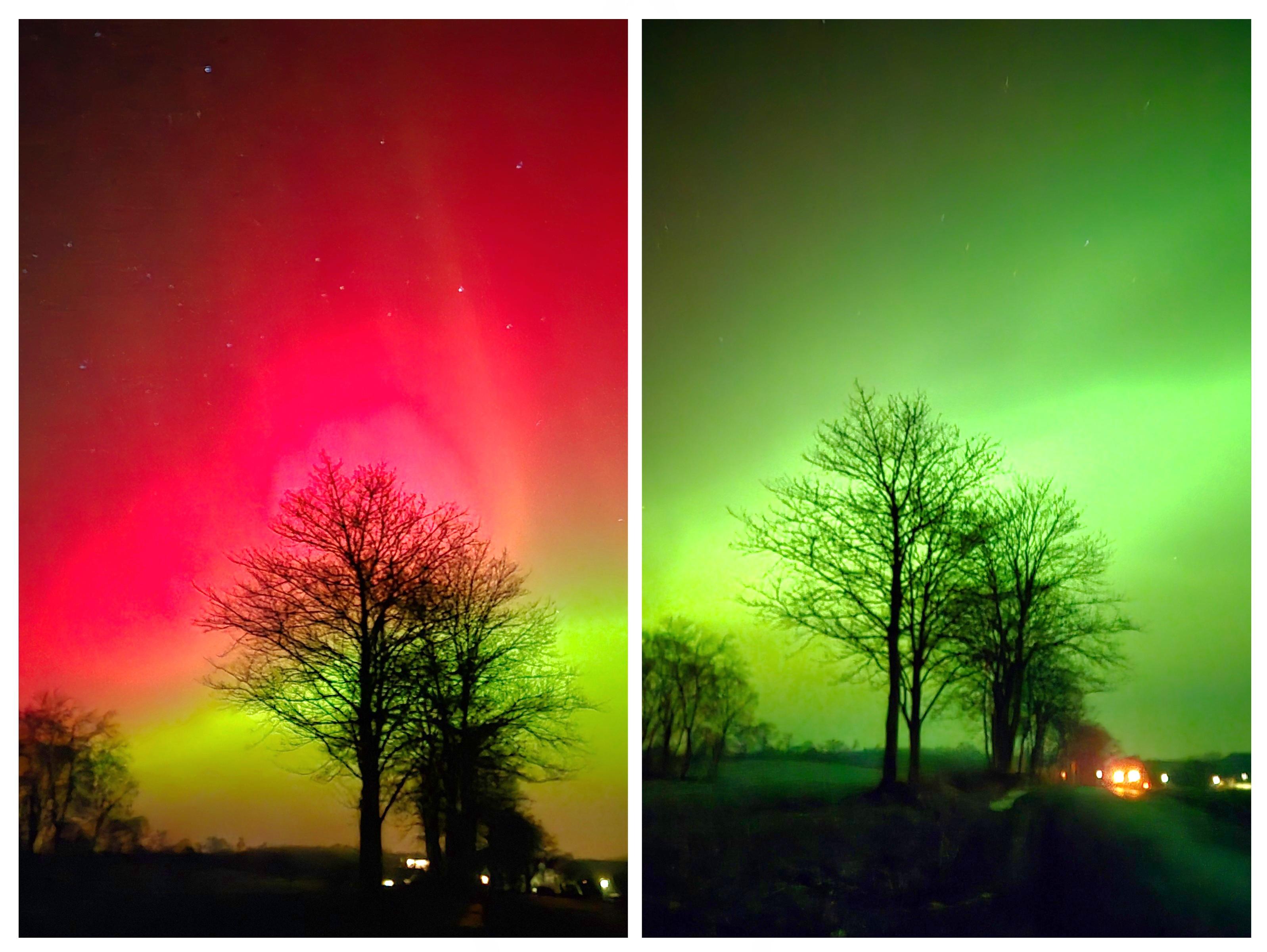 20260120_035431-COLLAGE