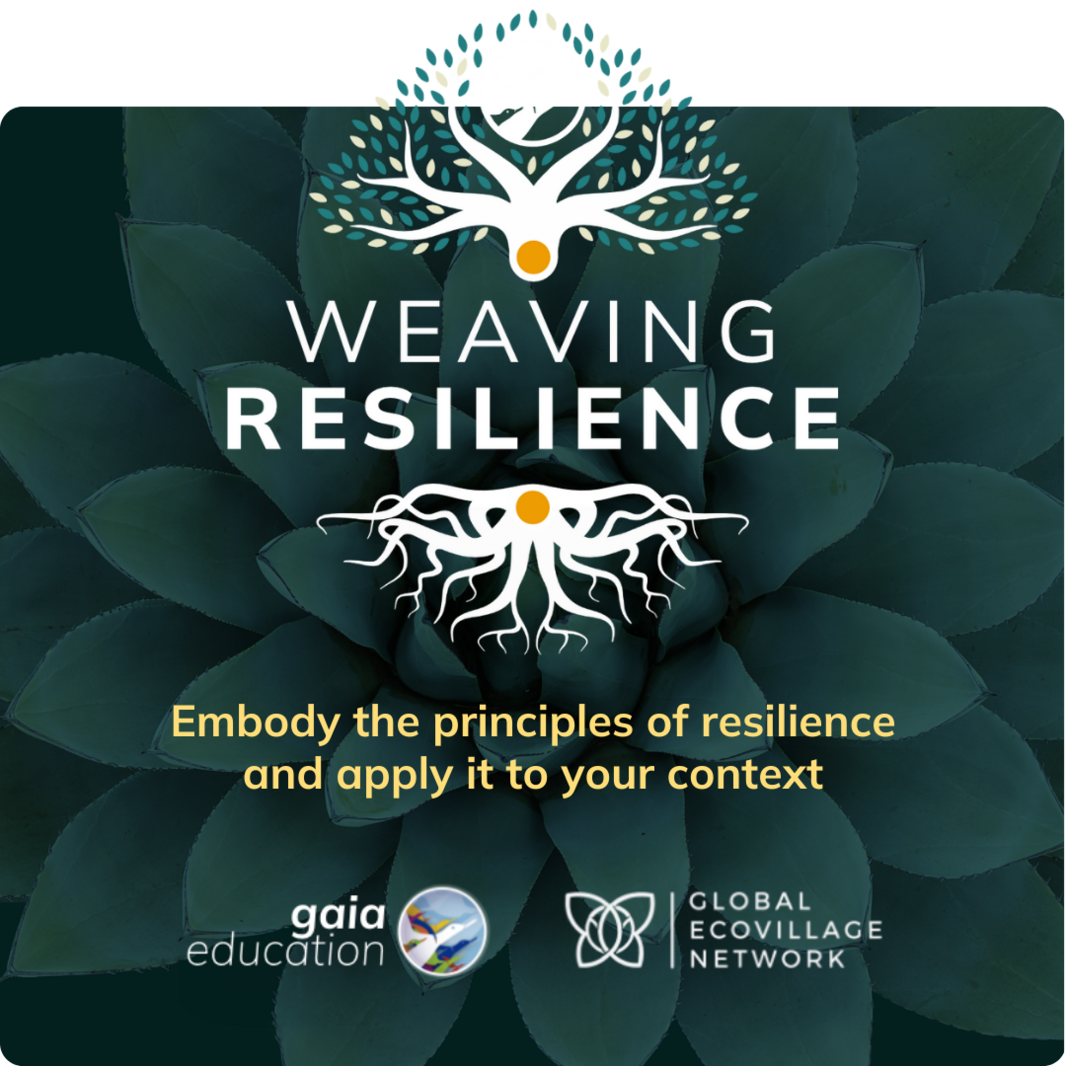 Weaving Resilience