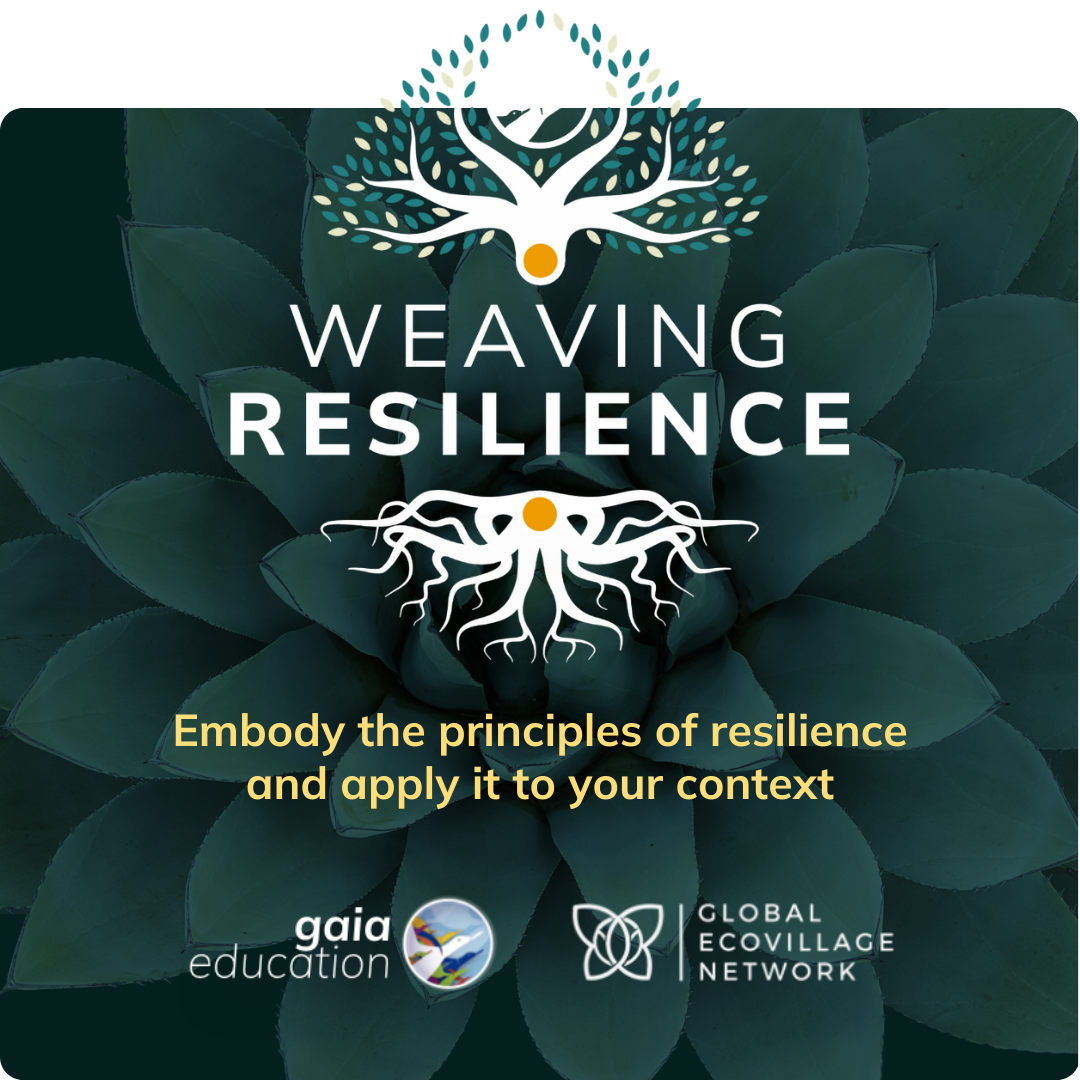 Weaving Resilience