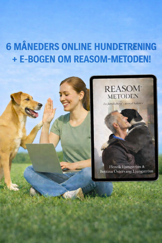 6. Mdr. Online hundetræning + E-bog Reasom Metoden