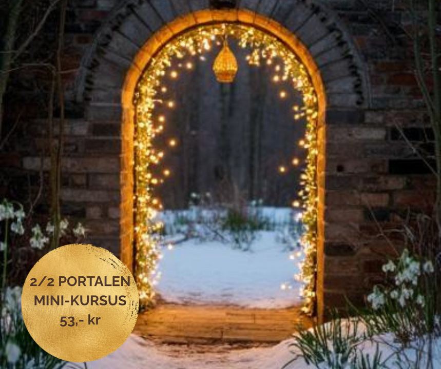 22 portalen mini kursus med loven om tiltrækning