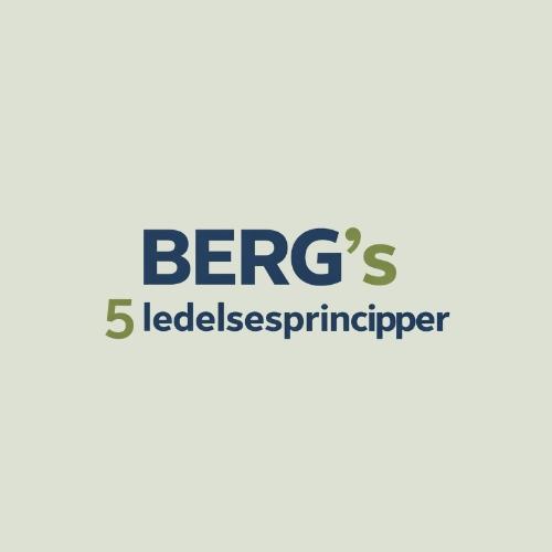 Bergs 5 ledelseprincipper (Logo)
