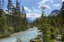 photo-1576693485648-a97477b90e01