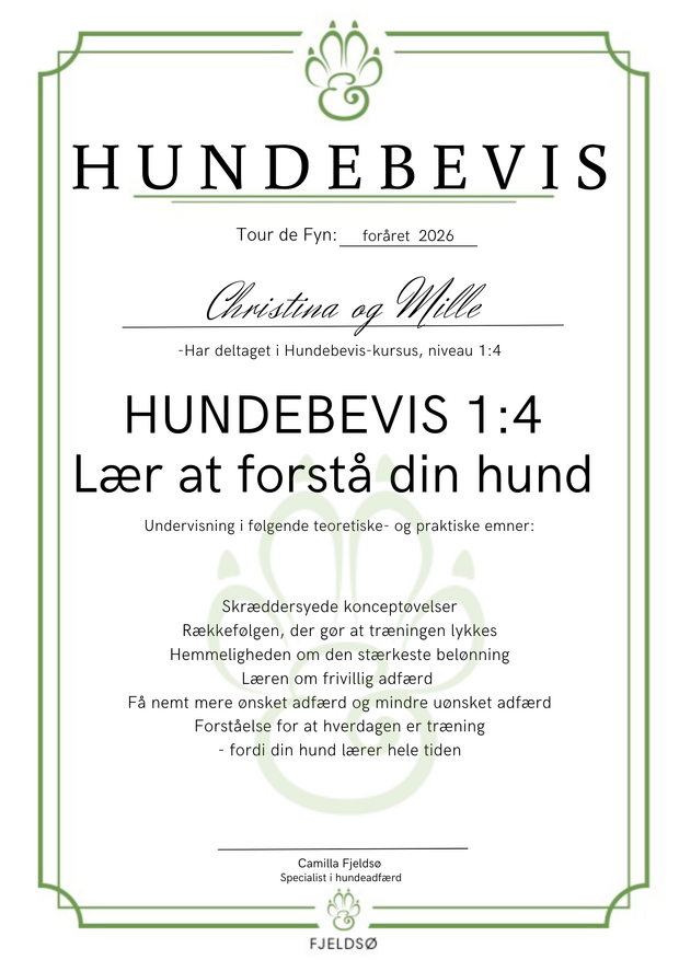 Hundebevis