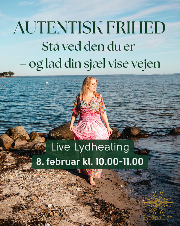 Ny Lyd Februar 2026ny