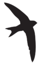 Swift icon
