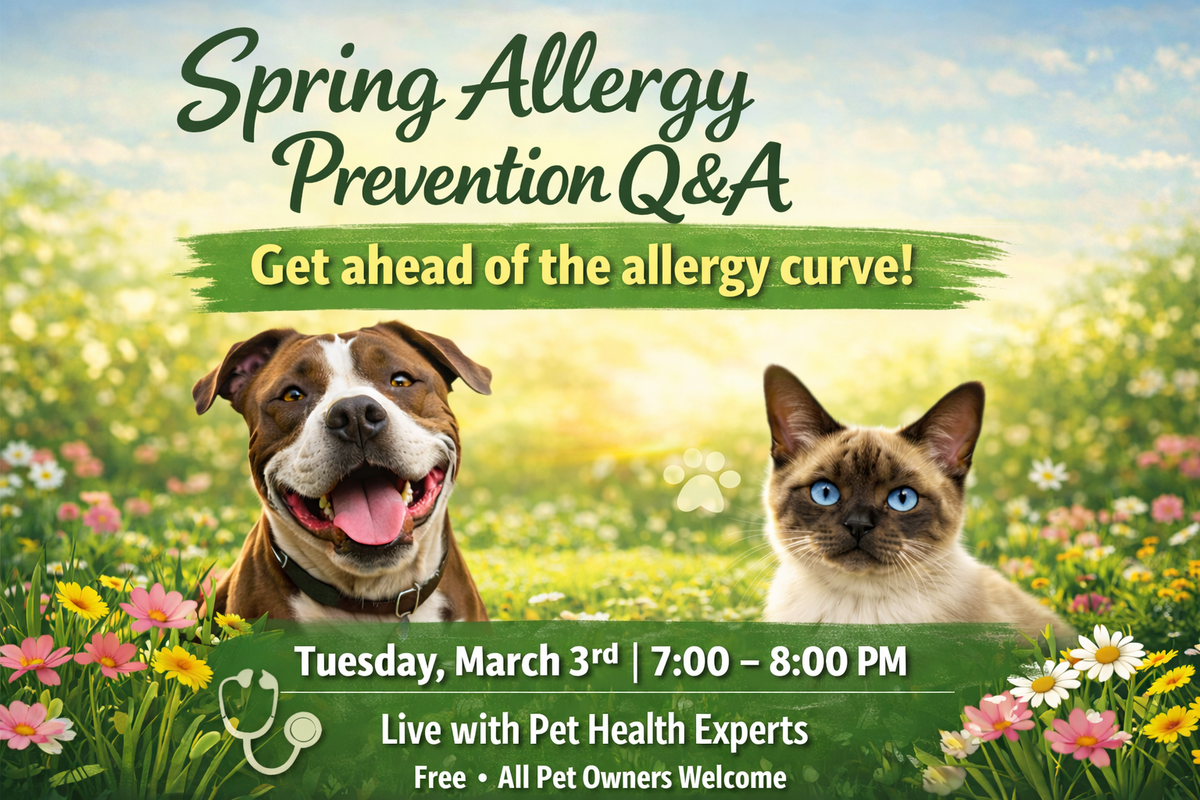 allergies-publis-banner