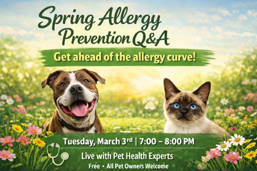 allergies-publis-banner