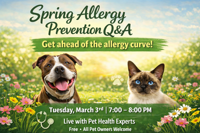 allergies-publis-banner