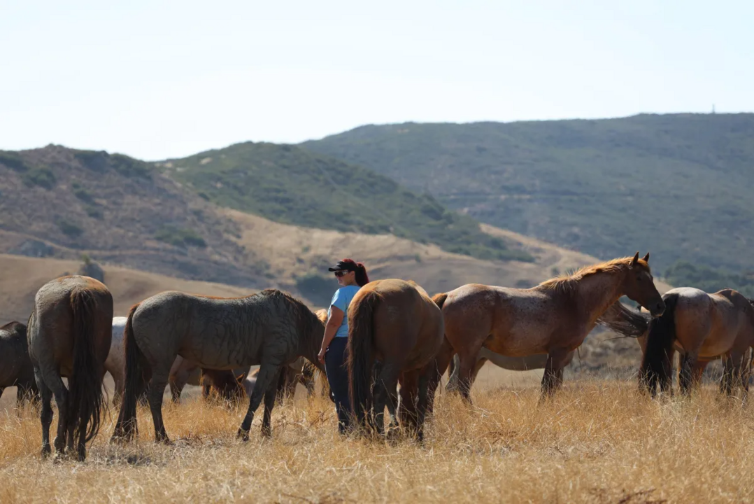 me with mustang herd at return to freedom