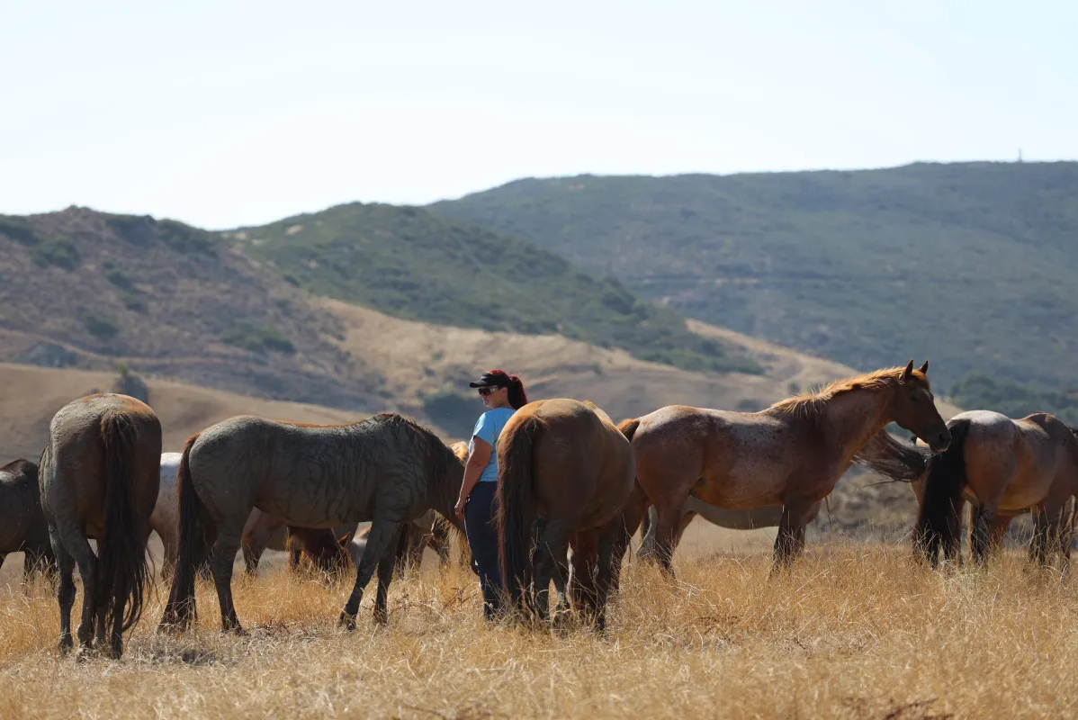 me with mustang herd at return to freedom