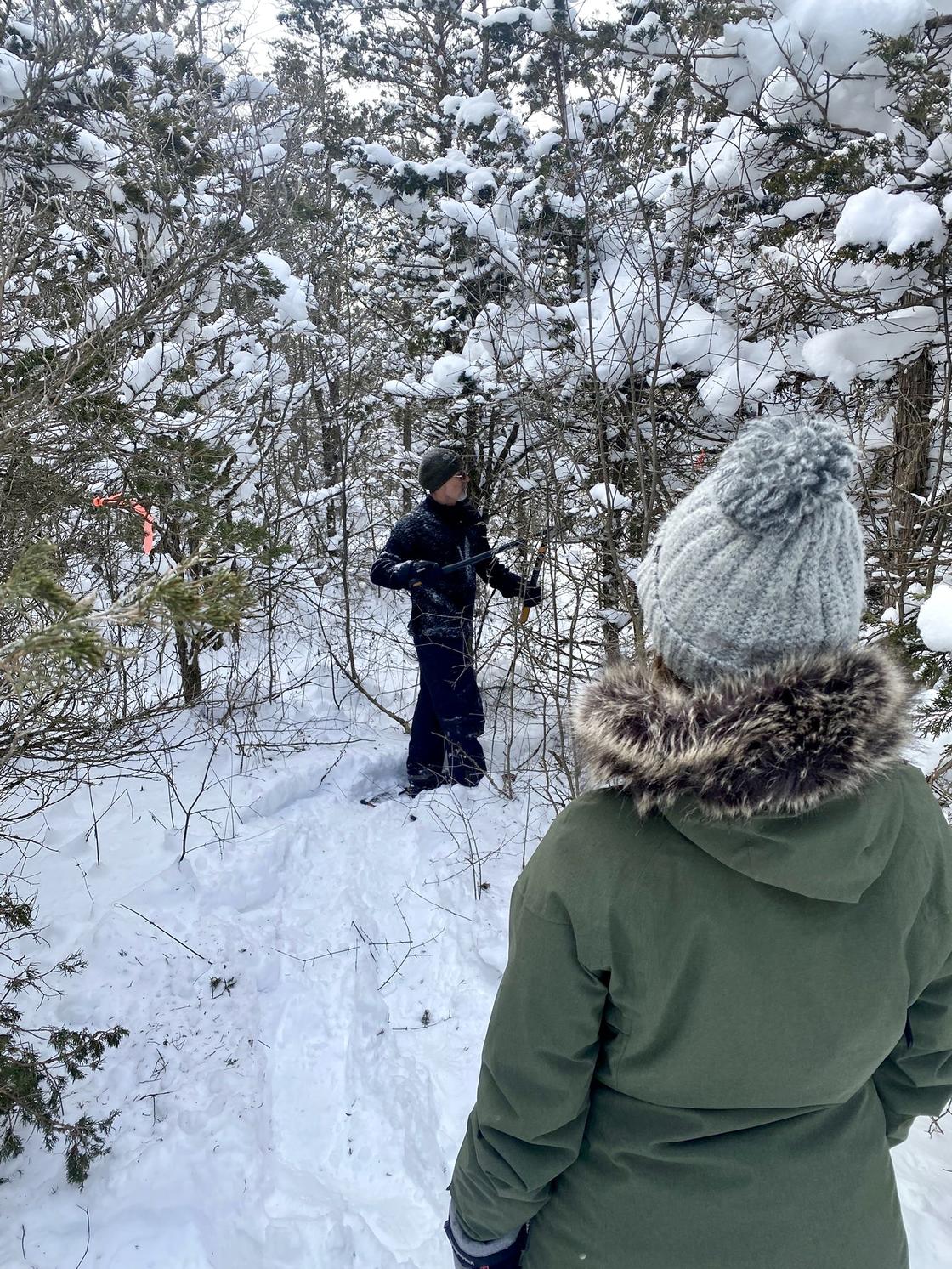 Ryan clipping branches
