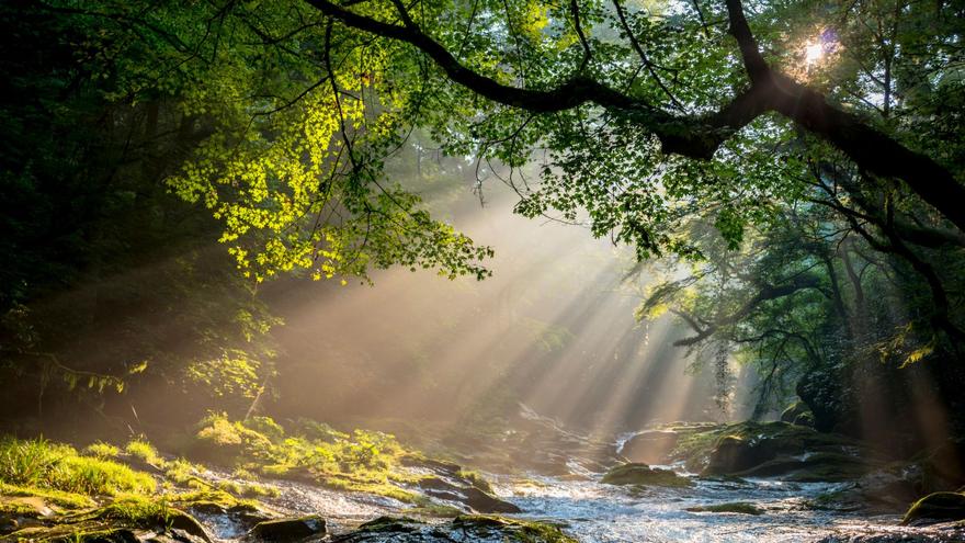 evolution of spiritual coaching