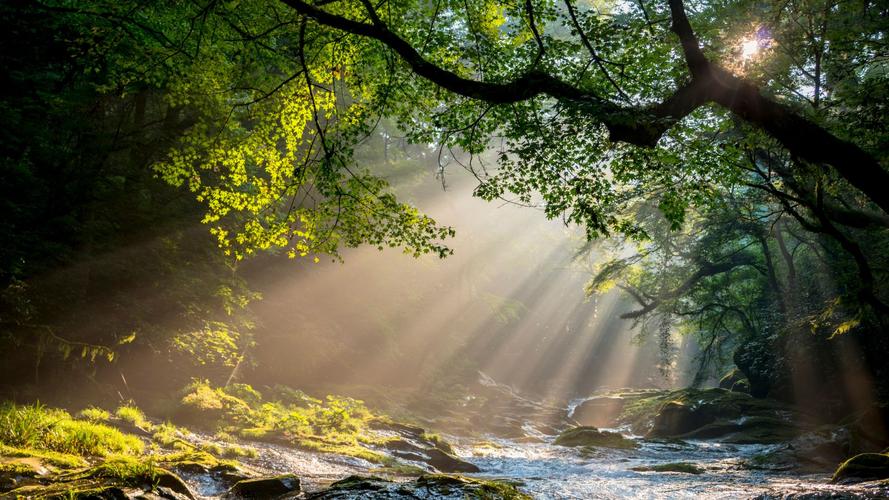 evolution of spiritual coaching