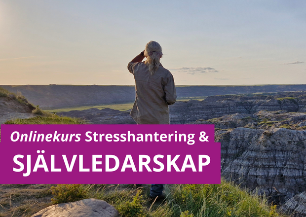 Onlinekurs Självledarskap