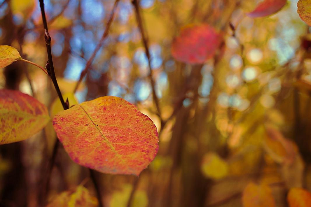 vladimir-terentev-LA15M10SI60-unsplash