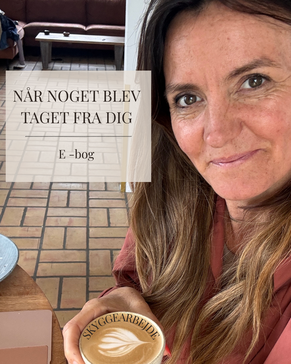 Cover E-Bog Noget vigtigt blev taget fra dig