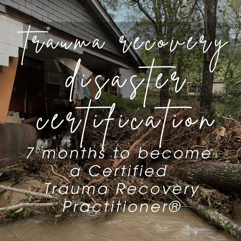 TR3 Disaster certify square