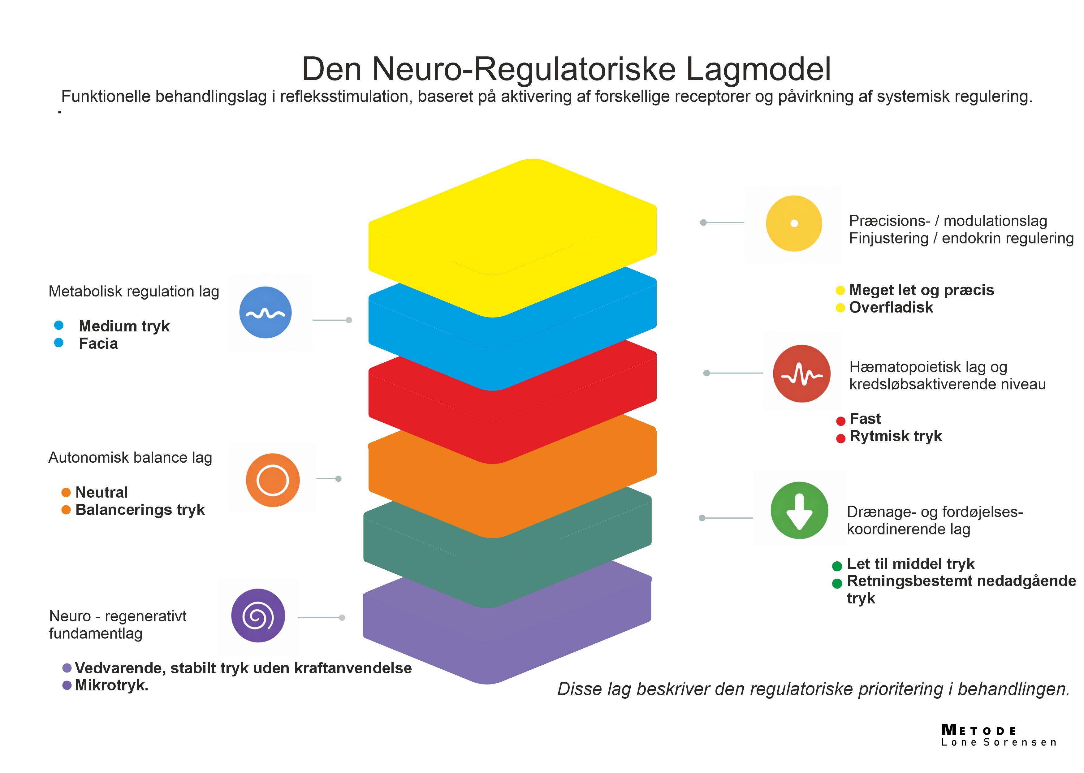 DK HUMAN SKELET for pictures 2