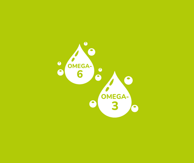 Alt du skal vide om fedt